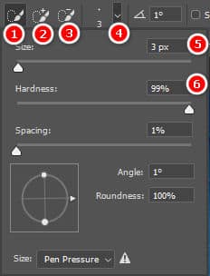 Cách sử dụng Quick Selection Tool Photoshop 5 Cách sử dụng Quick Selection Tool Photoshop