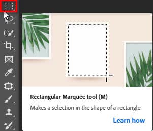 Cách sử dụng Rectangular Tool photoshop 2 Rectangular Tool photoshop