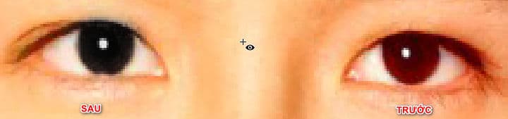 Cách sử dụng Spot Healing Brush Tool Photoshop 6 Red Eye Tool