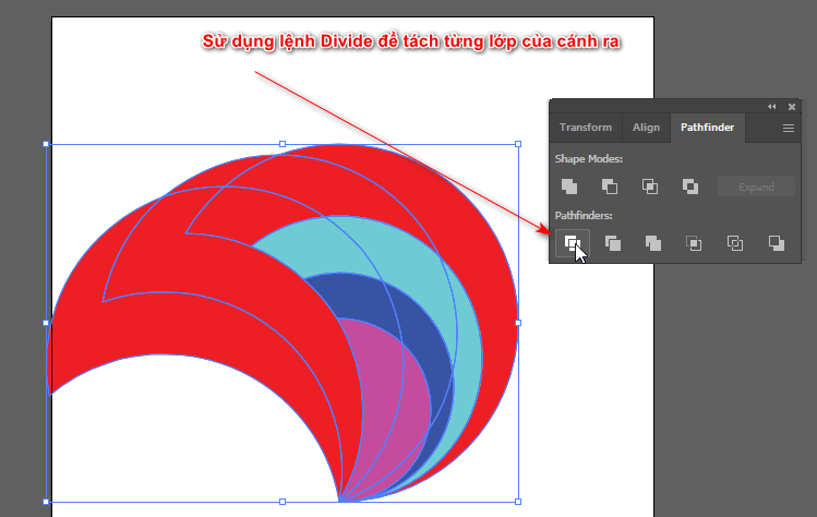 Vẽ bông hoa trong illustrator 7 Bước 5 sử dụng lệnh divide