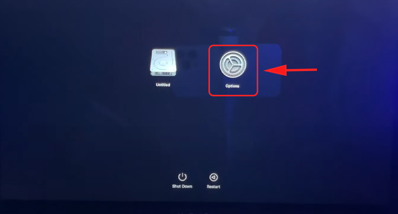 Chọn Options Chọn Options