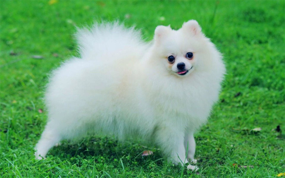 Cách xóa chi tiết thừa trong photoshop 13 Cách xóa vật thể thừa trong photoshop