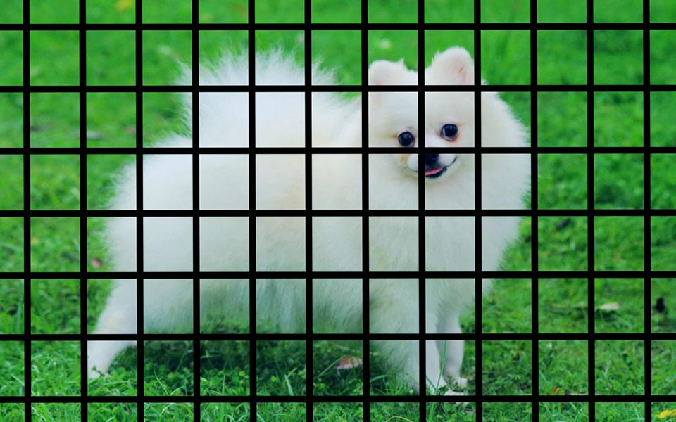 Cách xóa chi tiết thừa trong photoshop 2 cách xóa chi tiết thừa trong photoshop